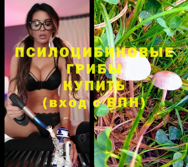 МДПВ Абаза