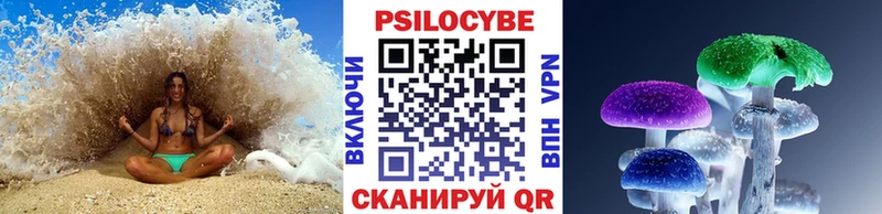 Псилоцибиновые грибы GOLDEN TEACHER Донецк
